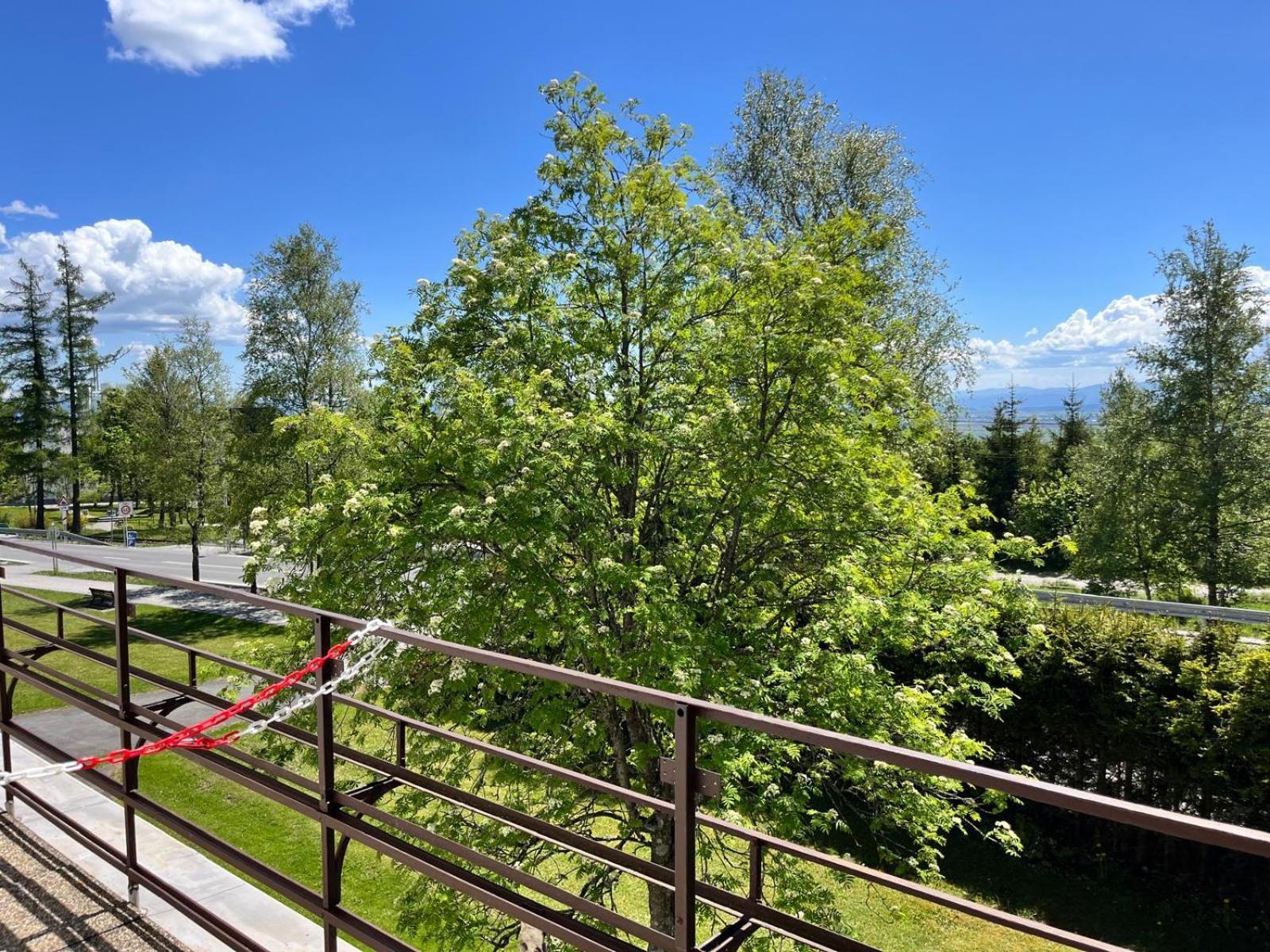 Penzion Villa Gerlach Vysoké Tatry エクステリア 写真